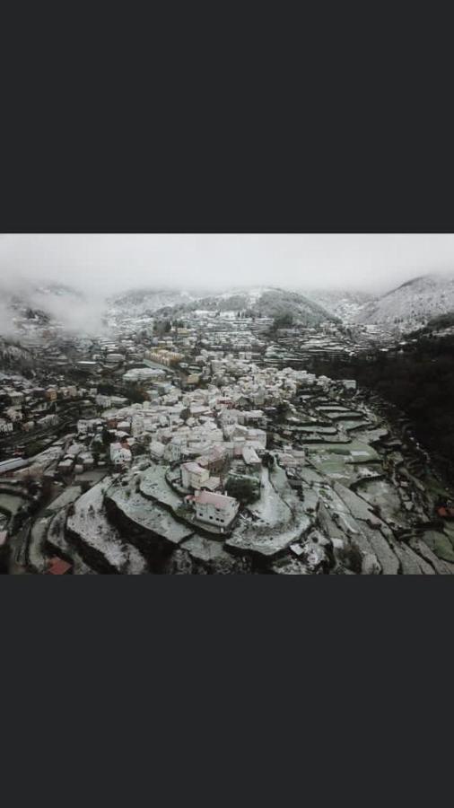 Casa Da Carvalha - Loriga Villa Dış mekan fotoğraf